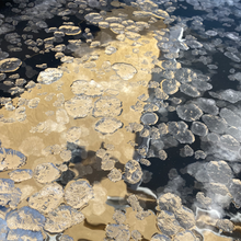 Load image into Gallery viewer, 4 oz Jar ~ Fleur de Sel Finishing Sea Salt (ALL Flakes)